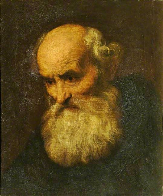 Head Of A Bearded Old Man (Style Of Paolo Veronese) by Anthony van Dyck