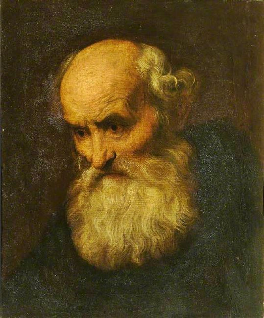 Head Of A Bearded Old Man (Style Of Paolo Veronese) by Anthony van Dyck