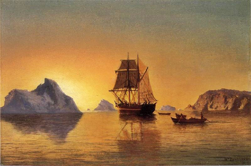 AN ARCTIC SCENE