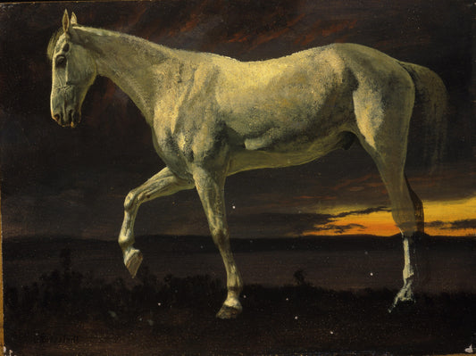 WHITE HORSE AND SUNSET