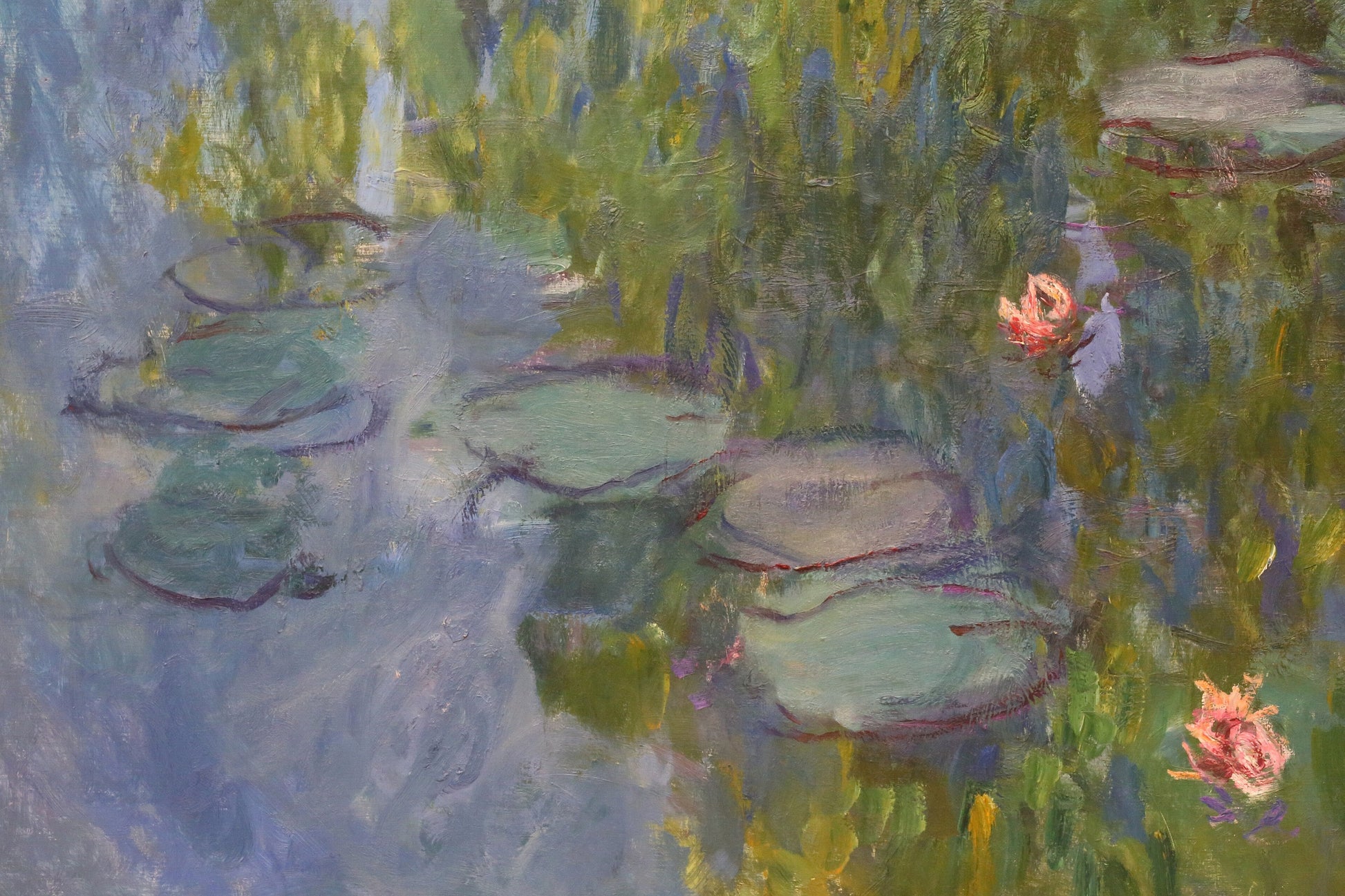 WATER LILIES