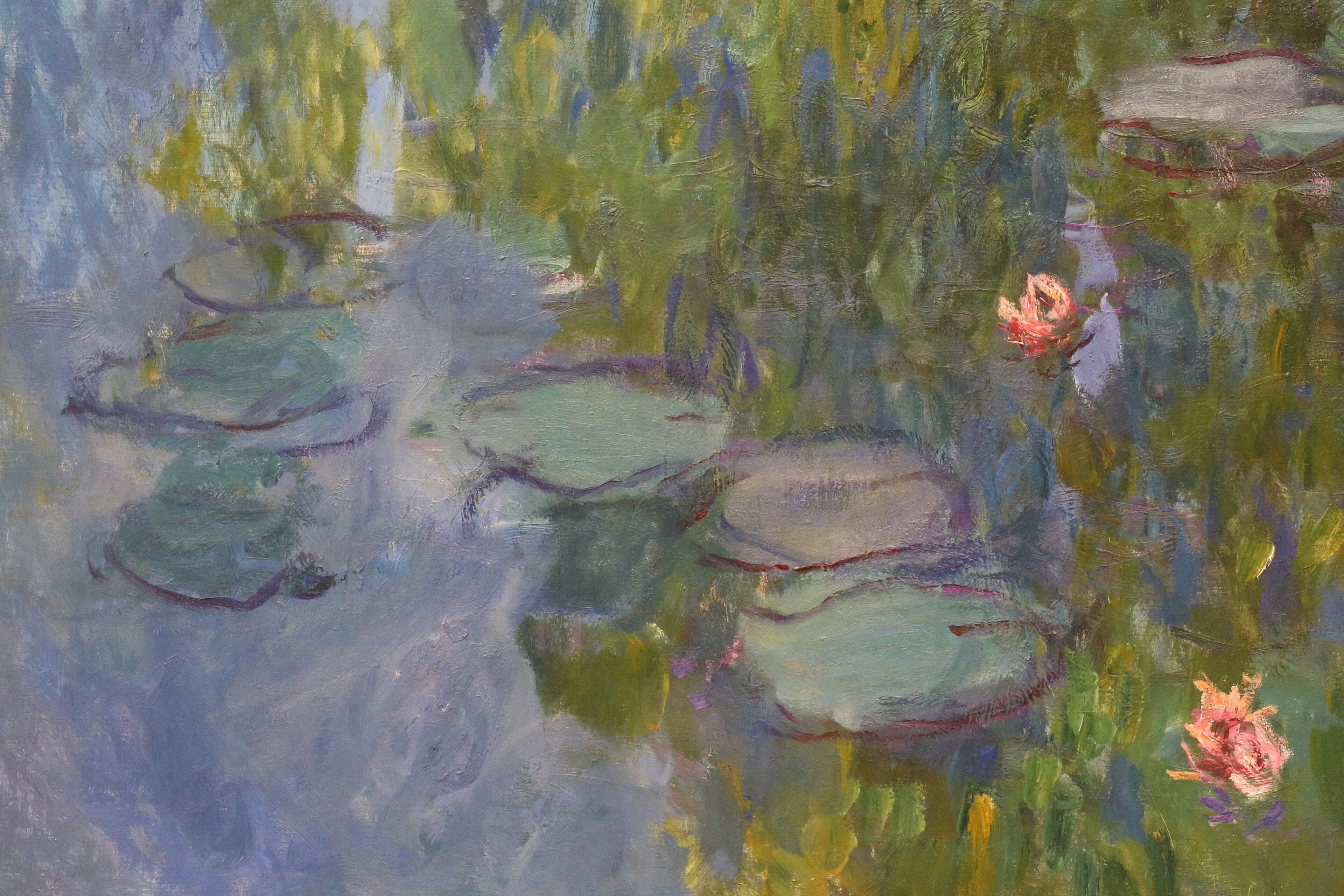 WATER LILIES