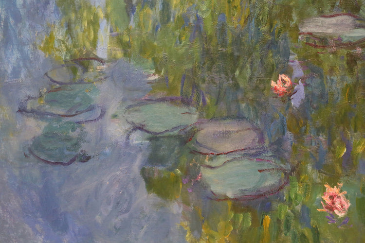 WATER LILIES