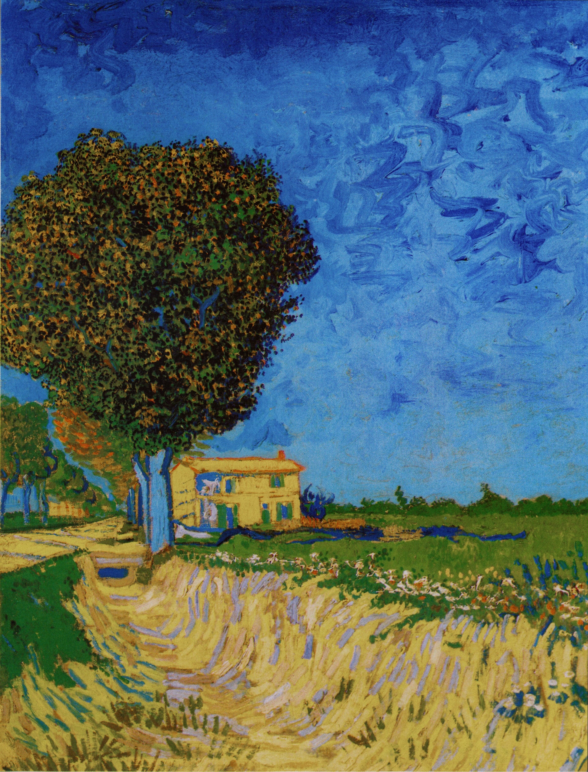 A LANE NEAR ARLES