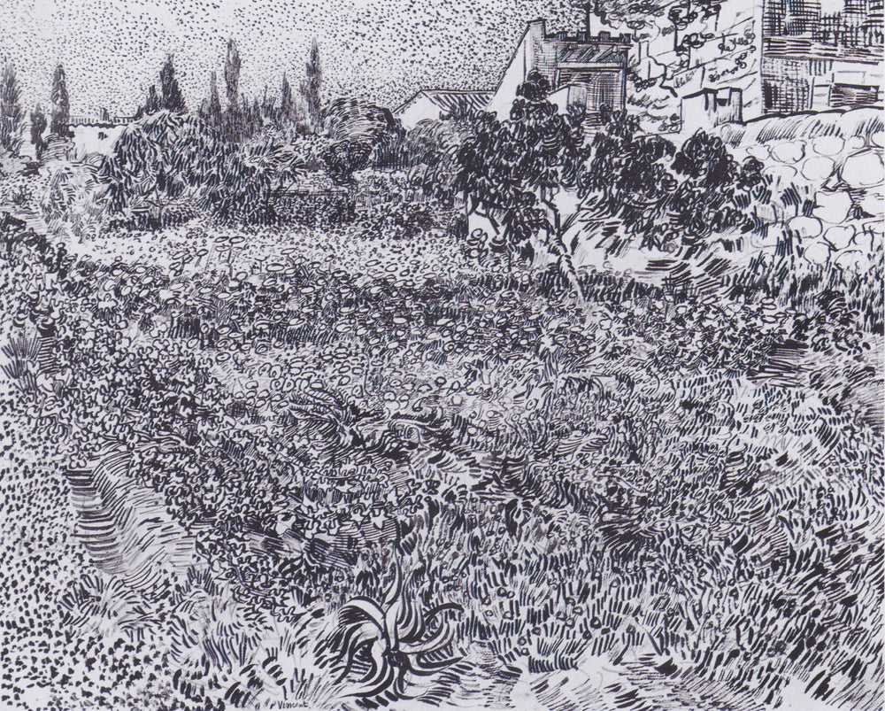 GARDEN WITH FLOWERS