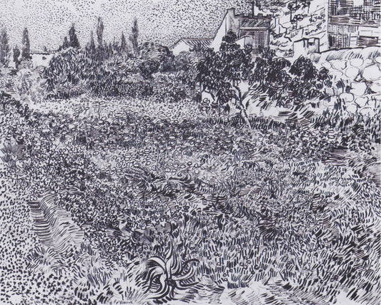 GARDEN WITH FLOWERS