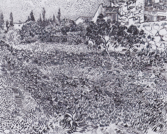 GARDEN WITH FLOWERS