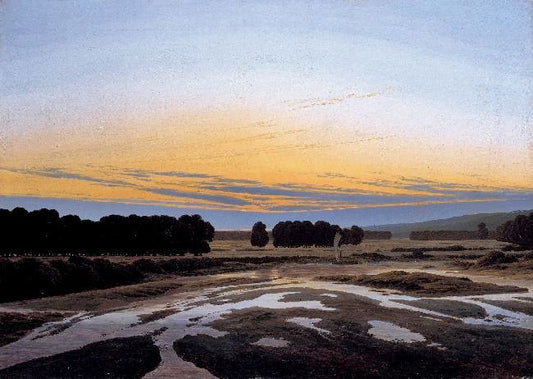 The Grosse Gehege Near Dresden by Caspar David Friedrich