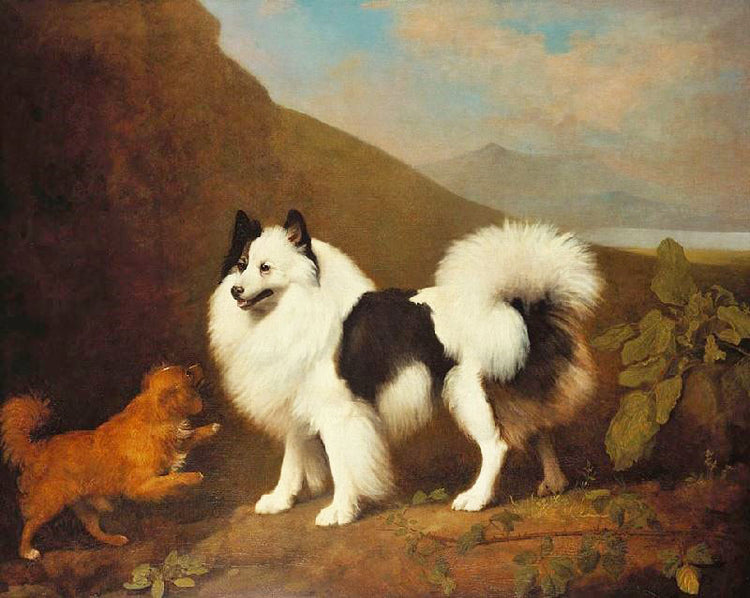 Fino And Tiny by George Stubbs