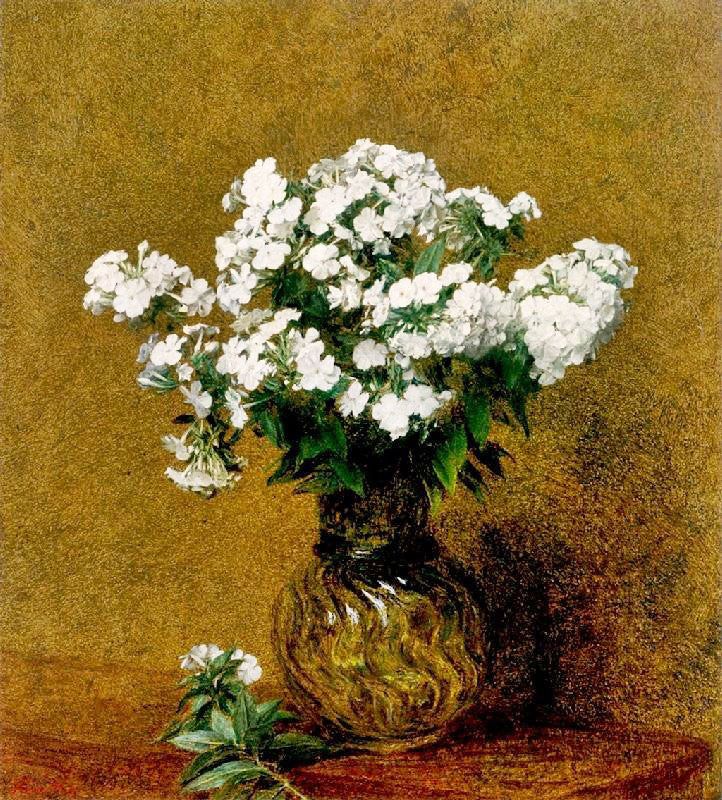 White Phlox In A Vase by Henri Fantin-Latour