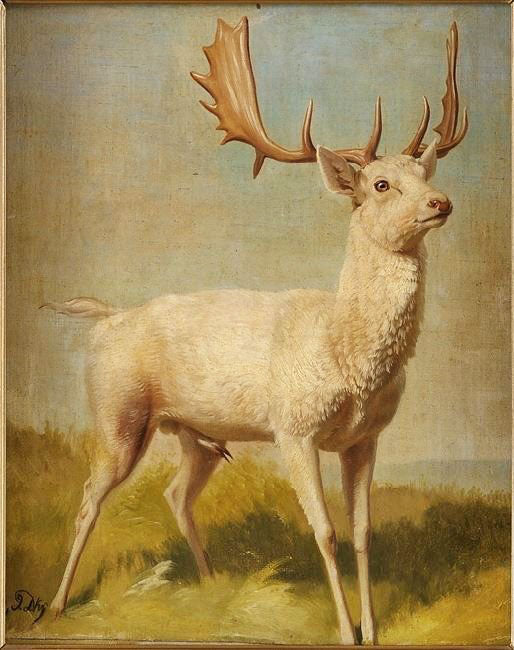 DEER