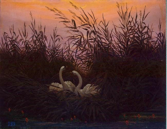Swans In The Reeds by Caspar David Friedrich