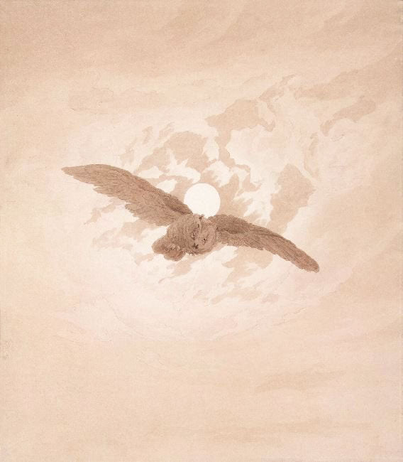 Owl Flying Against A Moonlit Sky by Caspar David Friedrich