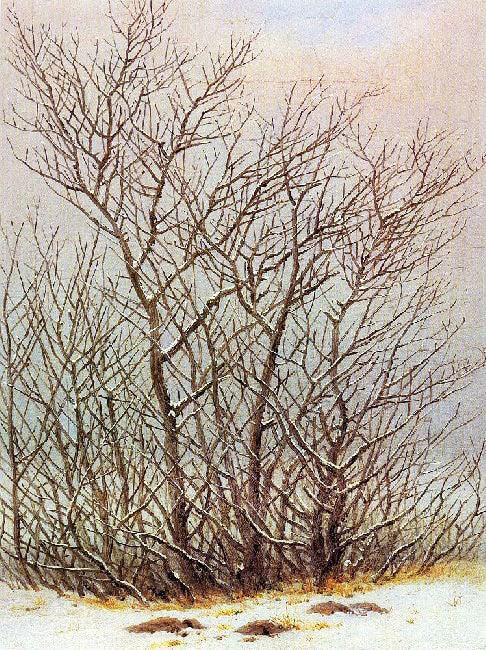 Trees Under The Snow by Caspar David Friedrich