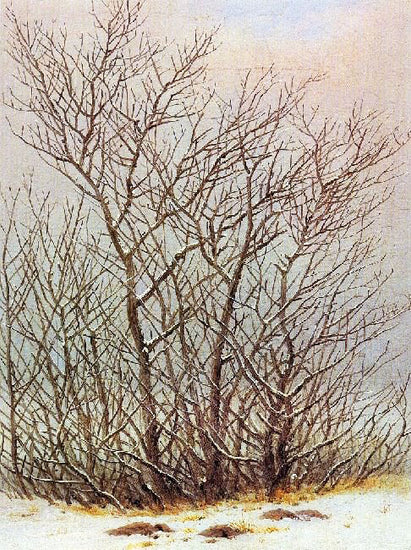 Trees Under The Snow by Caspar David Friedrich