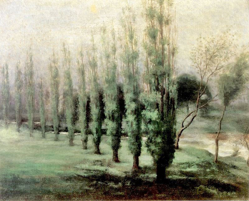 POPLARS AT DAWN