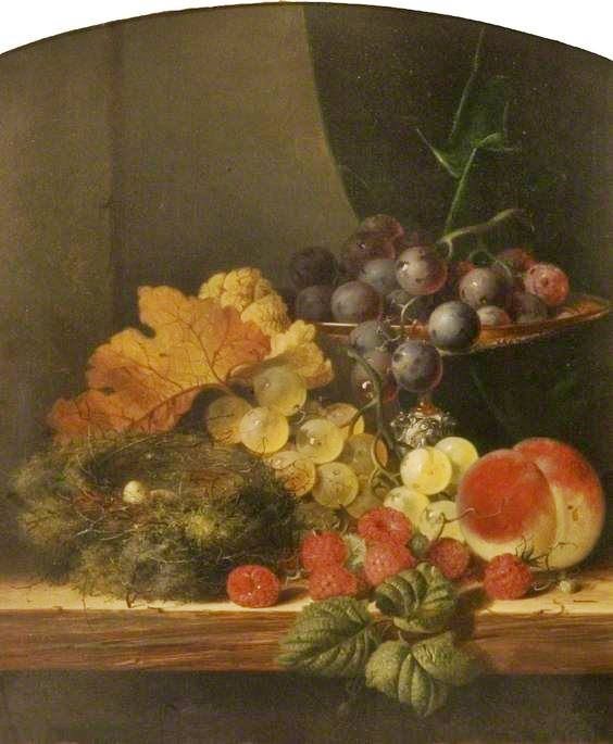 Still Life With Fruit And A Bird’S Nest by Edward Ladell