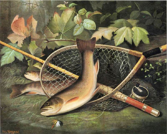 Trout by Hal Alexander Courtney Morrison