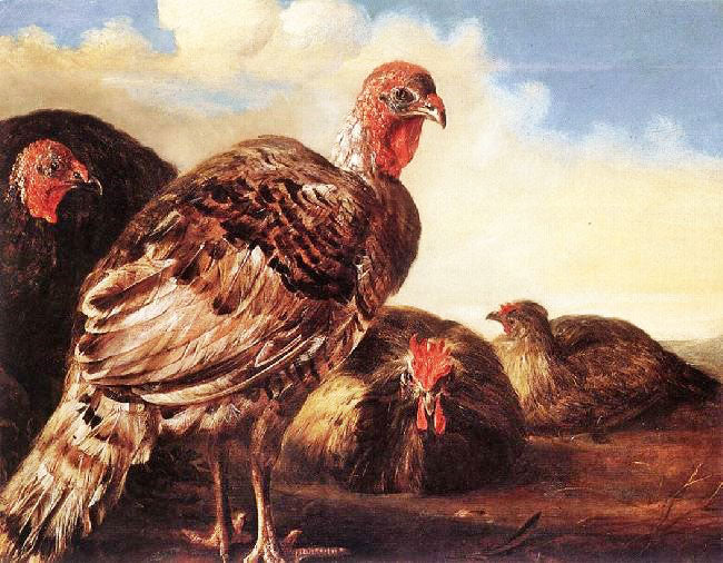 Domestic Fowl by Aelbert Cuyp