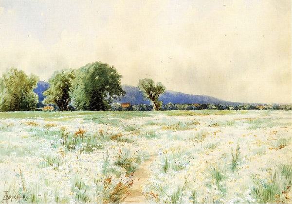 The Daisy Field by Alfred Thompson Bricher