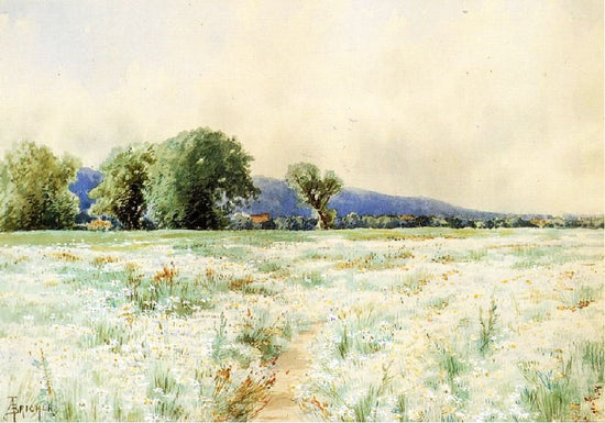 The Daisy Field by Alfred Thompson Bricher