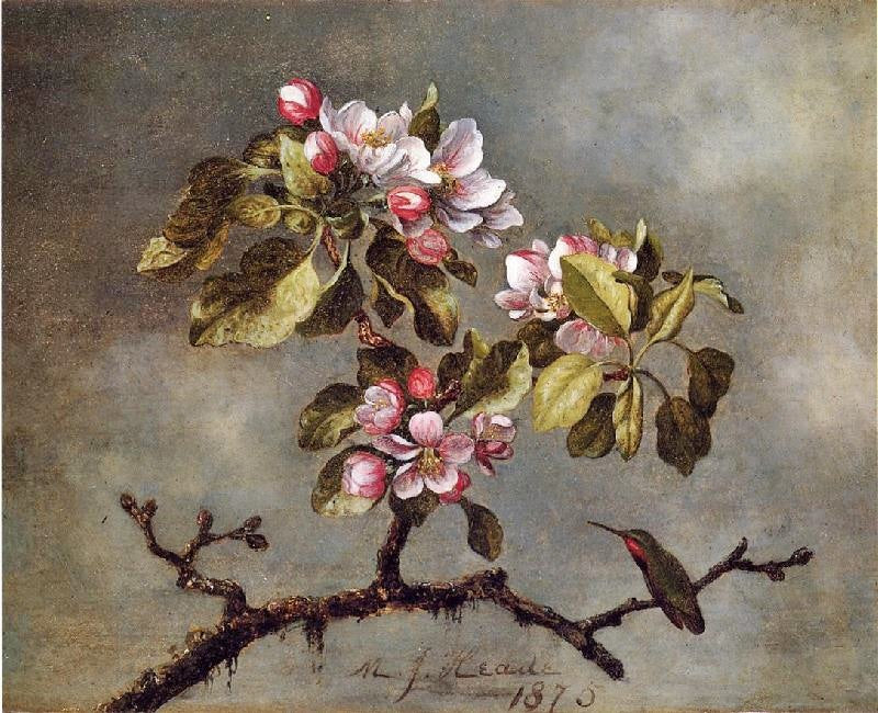 APPLE BLOSSOMS AND HUMMINGBIRD