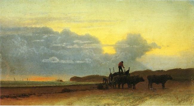 COASTAL VIEW, NEWPORT