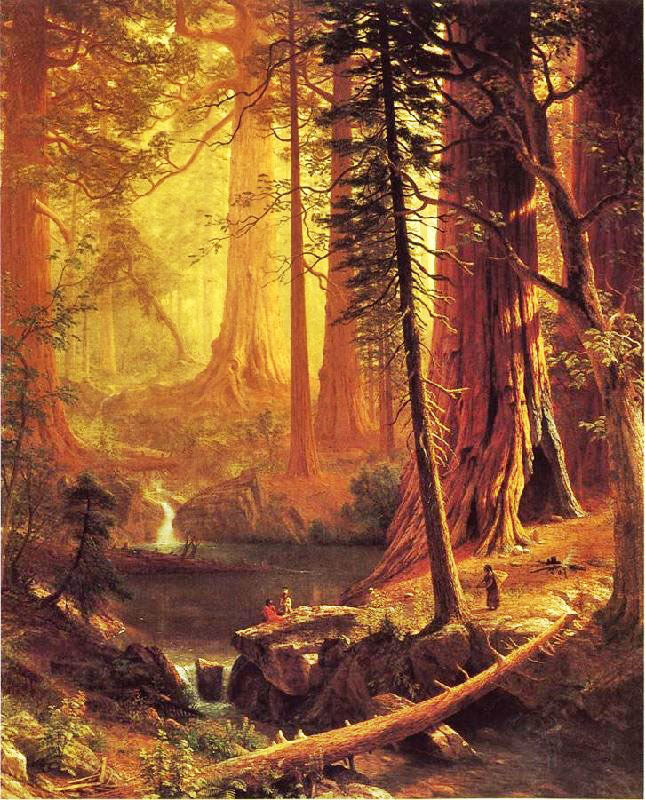 Giant Redwood Trees Of California by Albert Bierstadt