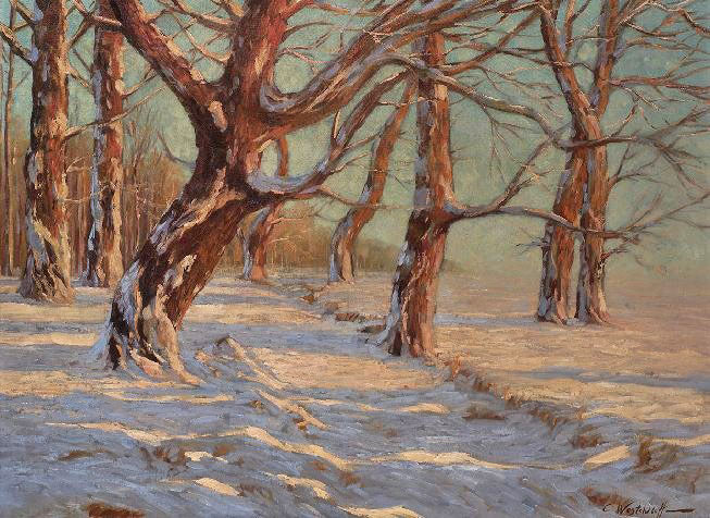 Winter Forest Lit By The Sun by Konstantin Westchilov