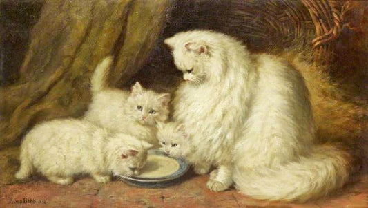 Supplementary Supper by Minnie Rosa Be