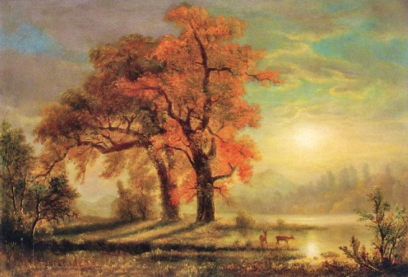 SUNSET SCENE WITH DEER
