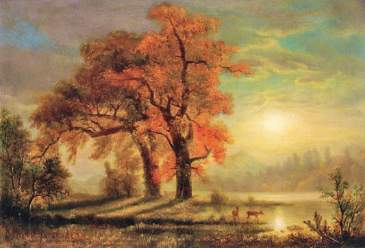 Sunset Scene With Deer by Albert Bierstadt