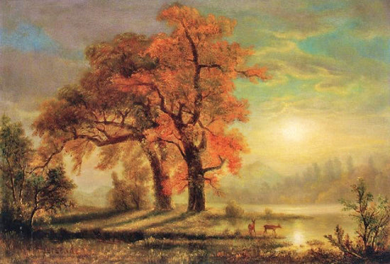 Sunset Scene With Deer by Albert Bierstadt