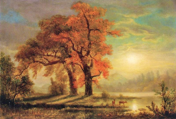 Sunset Scene With Deer by Albert Bierstadt