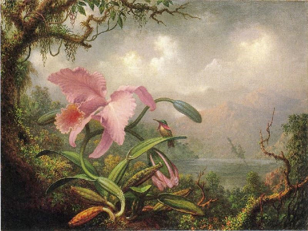 Orchid And Hummingbird by Martin Johnson Heade