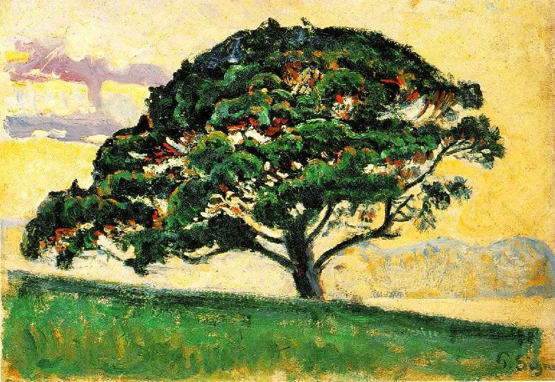 Pine St. Tropez by Paul Signac