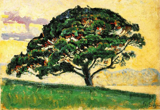 Pine St. Tropez by Paul Signac
