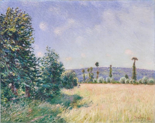 Sahurs Meadows In The Morning Sun by Alfred Sisle