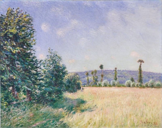 Sahurs Meadows In The Morning Sun by Alfred Sisle