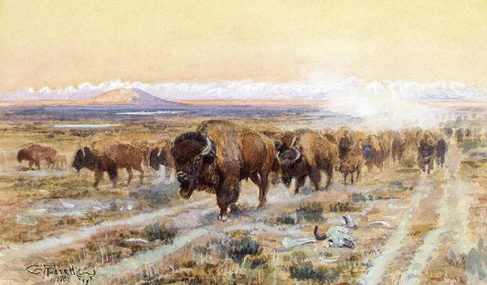 The Bison Trail by Charles Marion Russell
