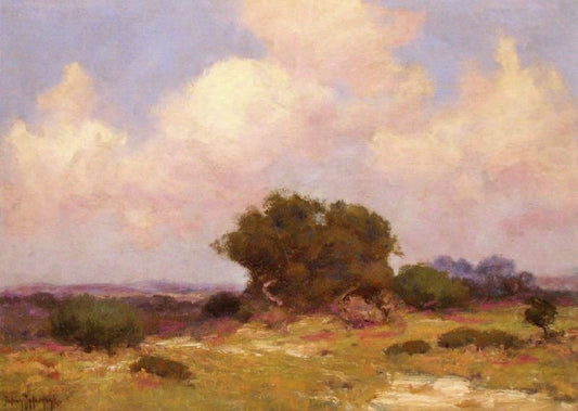 The Boerne Hills, S. W. Texas by Julian Onderdonk