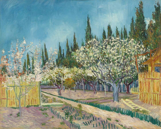 ORCHARD SURROUNDED BY CYPRESSES