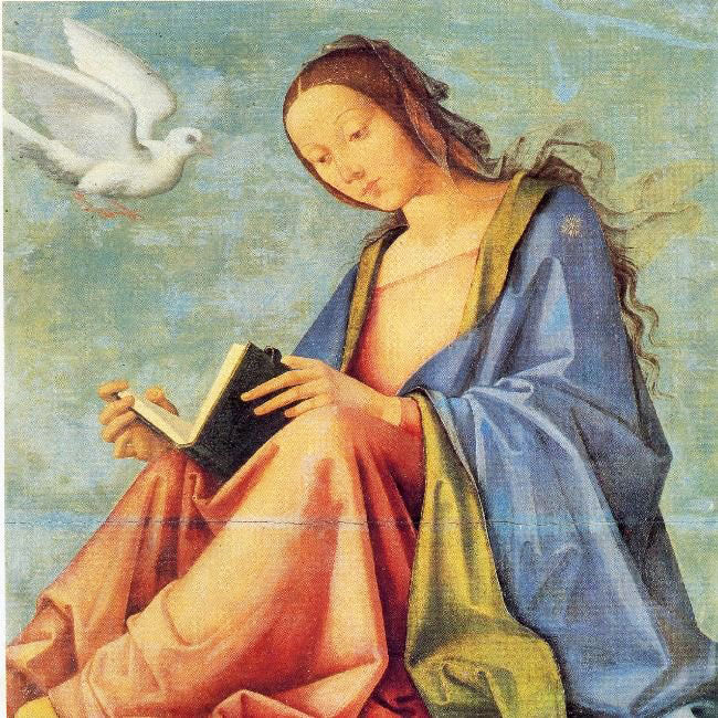 MARIA READING