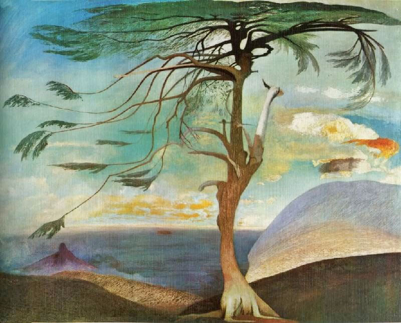 THE SOLITARY CEDAR
