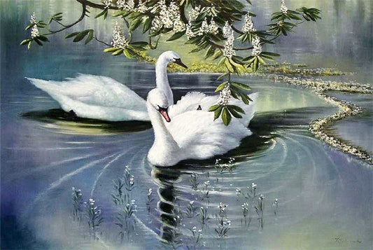 Swans by Alexander Koester
