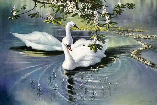 Swans by Alexander Koester