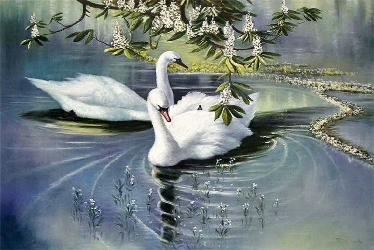 Swans by Alexander Koester