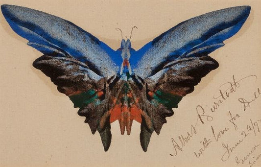 Butterfly, For Dell by Albert Bierstadt