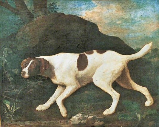 Phyllis’ A Pointer Of Lord Clermont’S by George Stubbs