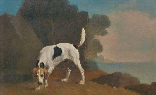 Foxhound by George Stubbs